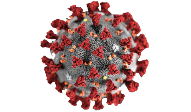 Coronavirus may lose potency over time: Italian experts