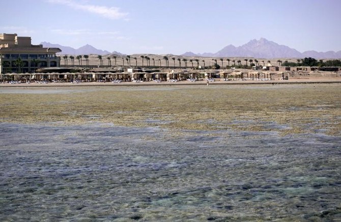 Egypt receives 48 international flights to Red Sea cities this month