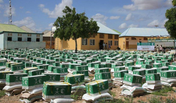 KSRelief to help carry out water, sanitation projects in Somaliland