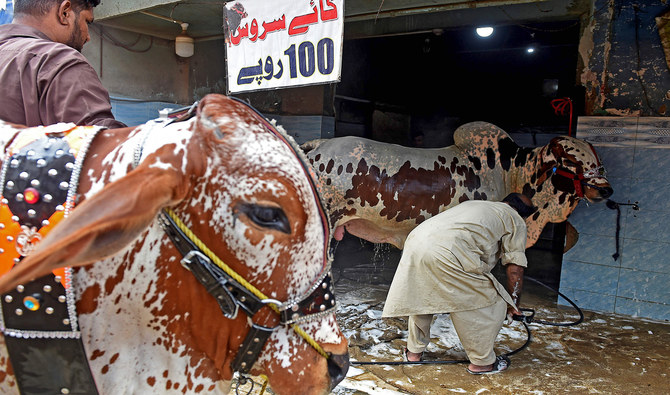 Proper disposal of animal remains during Eid vital for flight safety — Pakistani officials