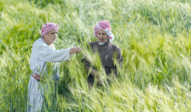 Saudi fund approves $90m agricultural loans