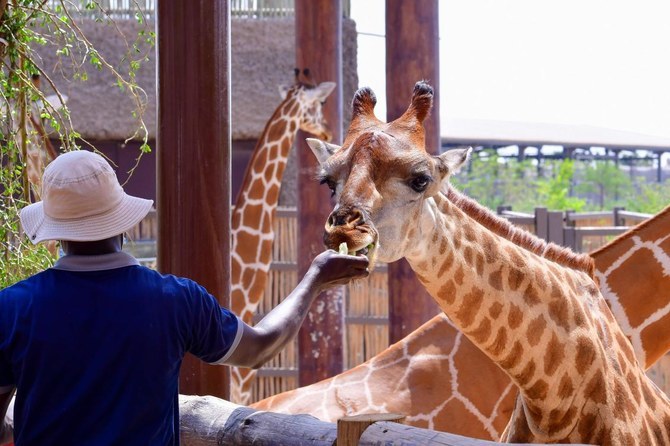 Dubai’s Safari Park reopens with new adventures after two-year closure