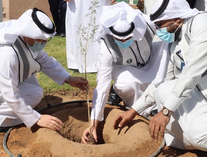 Saudi Arabia launches ‘make it green’ campaign to plant 10 million trees 