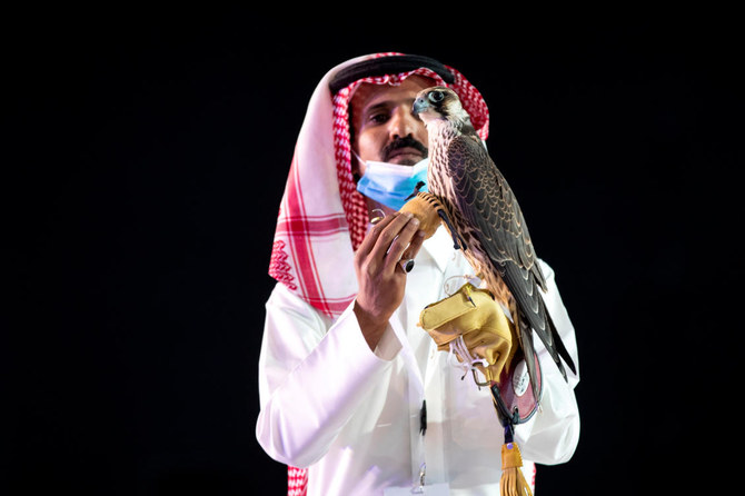 Falcon sells for record-breaking $170,000 in Saudi Arabia