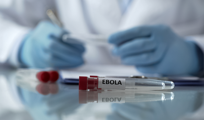 ‘Killer’ cells in Ebola immunity study could help coronavirus research
