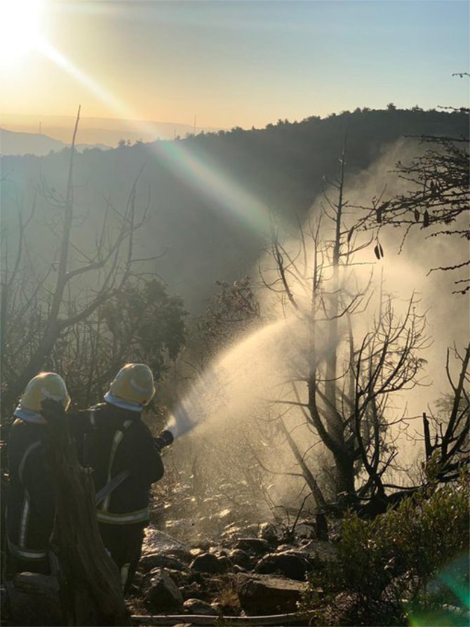 Saudi firefighters douse Al-Azizah forest fire, no injuries reported