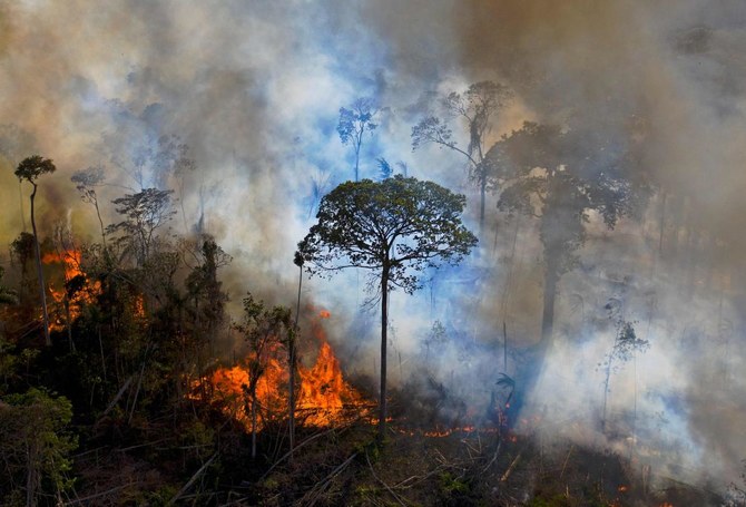 Record fires ravage Brazil’s Amazon and Pantanal regions