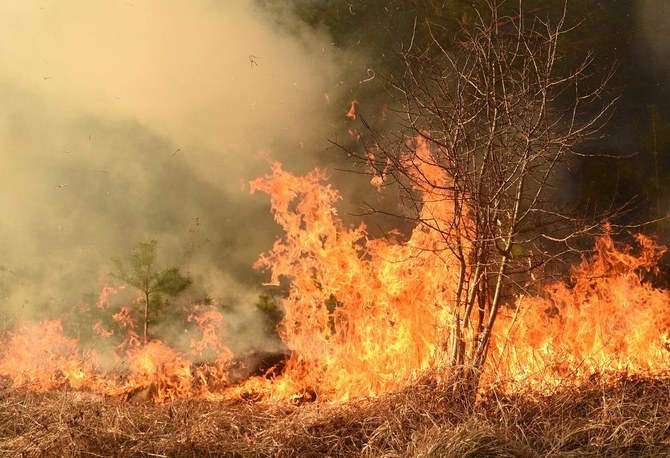 Algeria wildfire kills two as 50 firefighters tackle blaze