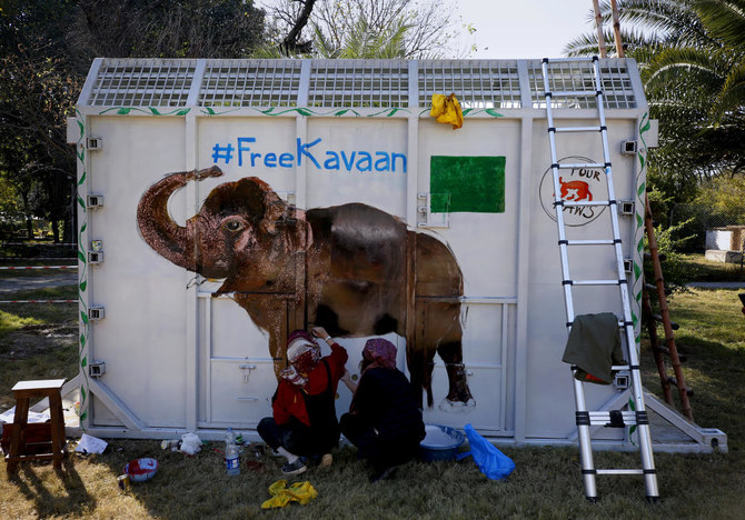 World’s loneliest elephant: Kaavan’s relocation from Pakistan set after Cher campaign