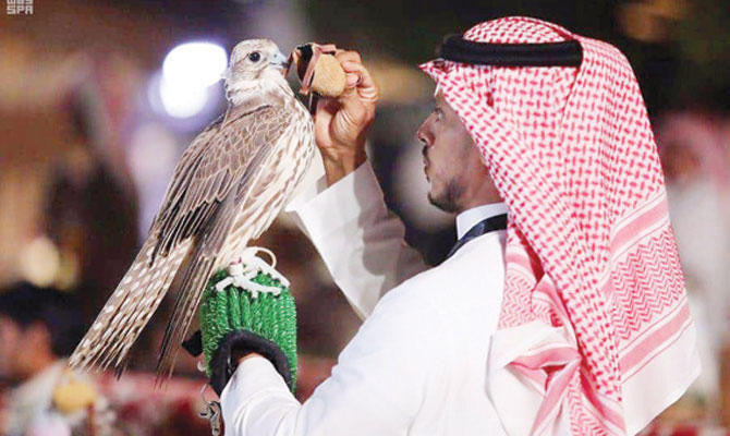 210 falcons compete on 5th day of festival in Saudi Arabia