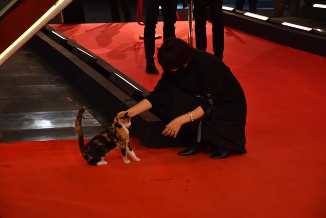 'Cat walk' draws smiles at Cairo Film Festival red carpet