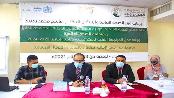 Workshop outlines plans for malaria support in Yemen