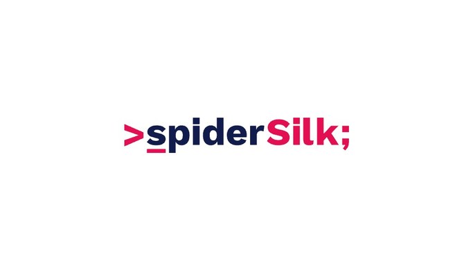 Saudi venture capital firm STV was among the major investors in a recent $2.25 million funding round by Dubai-based cybersecurity firm SpiderSilk. (SpiderSilk)