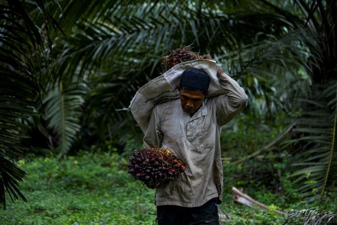 Facing public pressure, palm oil firms are going green — study