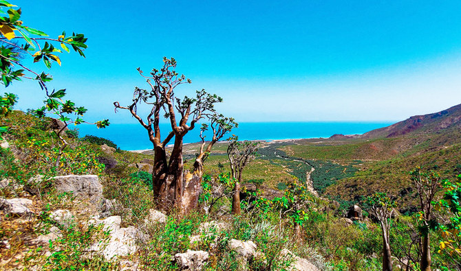 Yemen’s Socotra archipelago awaits ecotourists