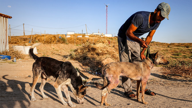 In Gaza, loss or injury to beloved pets add to grief and trauma