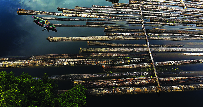 More deforestation threaten Brazilian agribusiness