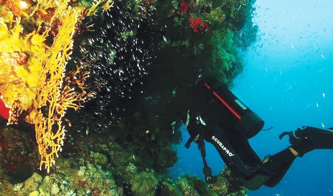 As a scuba diver Ali Bakhtaour was able to discover the secrets of the Red Sea, and sail for days to find new locations and witness the beauty of the coral reefs. (Supplied)