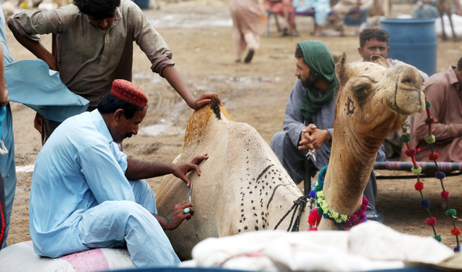 Customers wait as barber Ali Hassan decorates their animal at a camel market in Karachi, Pakistan on July 20, 2021. (AN photo by S.A. Babar)