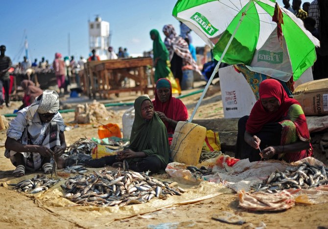 Somalia seeks Saudi investment in fishery project