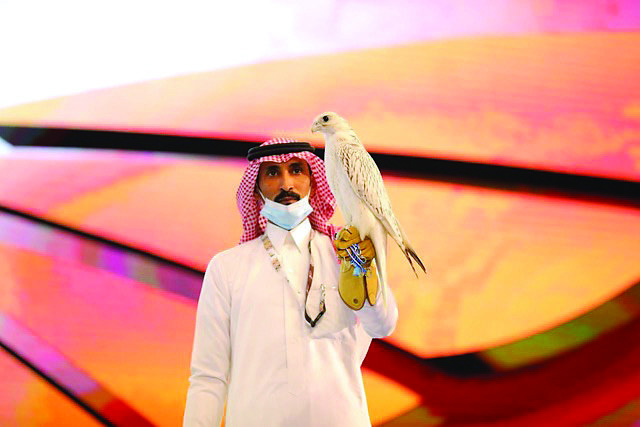 Rare-breed falcon sold for record-breaking $93,000 at Saudi auction