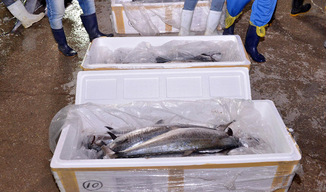 Saudi police arrests 2 in illegal fishing crackdown. (SPA)