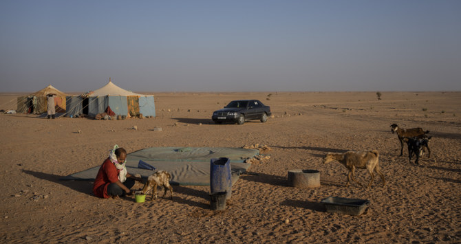 Algeria rejects Western Sahara talks