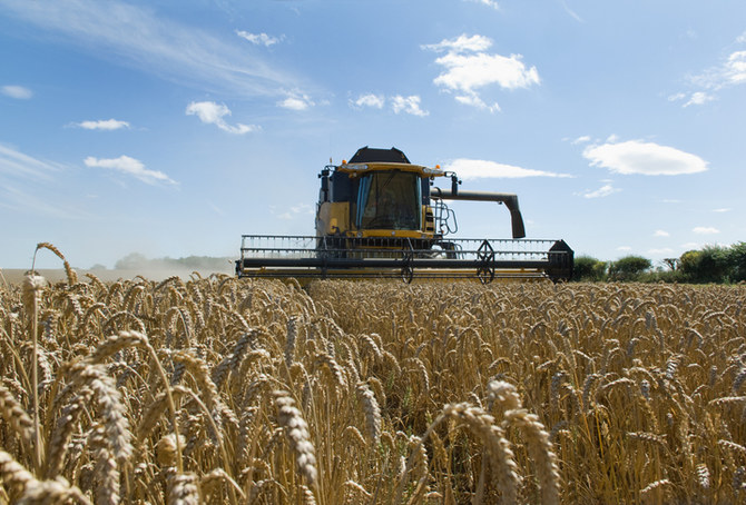 Wheat closes at highest level in 9 years threatening more food inflation 