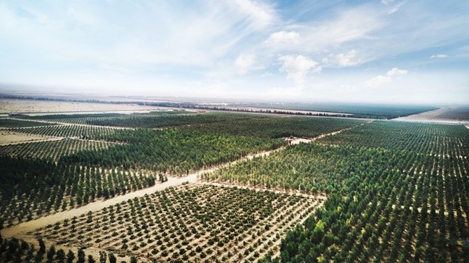 Tanmiah Food Company to plant one million trees by 2025 to help Saudi environment