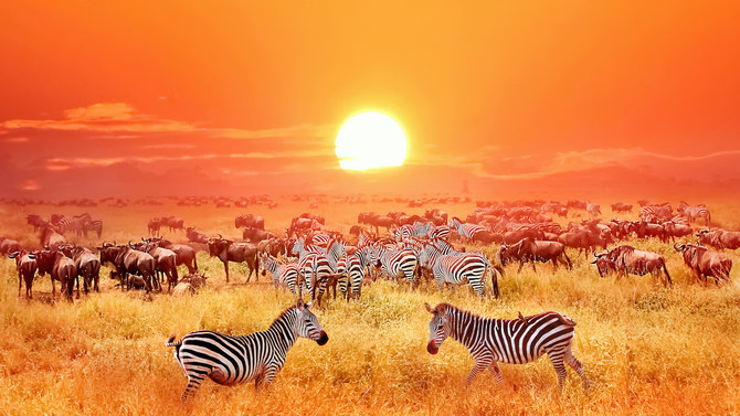 Tantalizing Tanzania: On safari in East Africa | Arab News