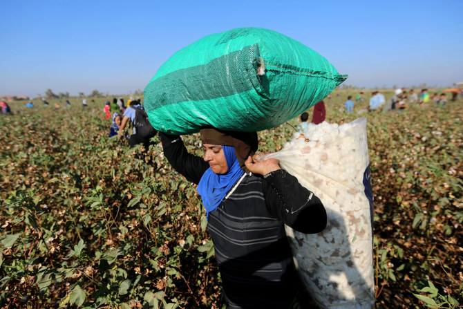 Egypt to increase cotton gins capacity, says official report
