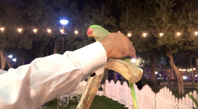 Visitors flocking to rare bird collection in Riyadh’s Salam Park