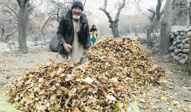 In Pakistan’s Khaplu Valley, autumn foliage becomes ‘blessing’ fuel for winter survival