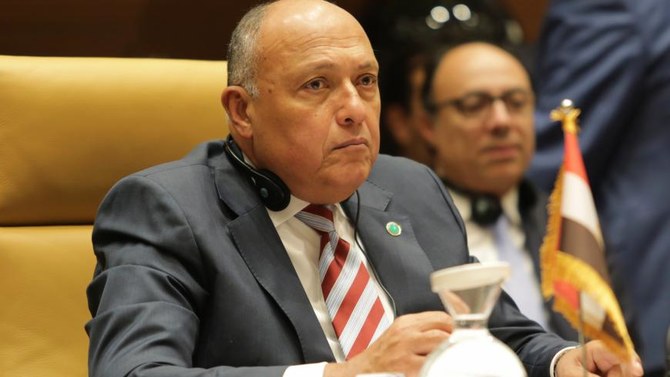 Egypt will strive to help Africa recover from COVID-19: FM