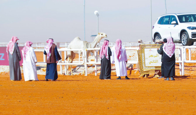The King Abdulaziz Camel Festival, staged northeast of Riyadh, attracts more than 100,000 visitors from around the world every day. (AN photo by Saad Al-Dossari)