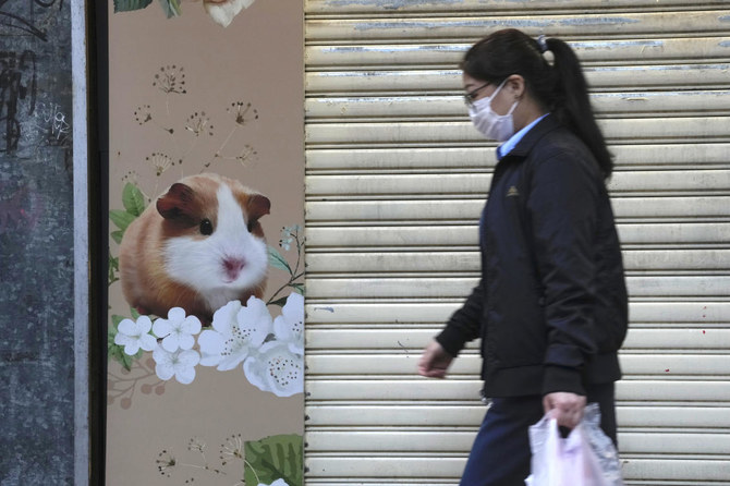 Hong Kong to cull 2,000 animals after hamsters get COVID-19