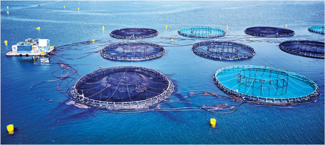KAUST leading Saudi Arabia’s progress in aquaculture