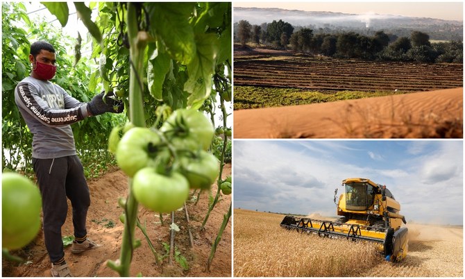 A joint US-Arab initiative will tackle food challenges in the MENA region through investment in sustainable agri-tech. (AFP/File Photos)