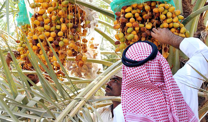 Aramco signs deal to develop dates production, food manufacturing industries in Al-Ahsa