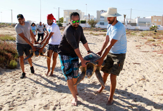 Scientists carry sea turtles before releasing them into the sea on May 21, 2022, in the Tunisian coastal city of Sfax, Tunis. 