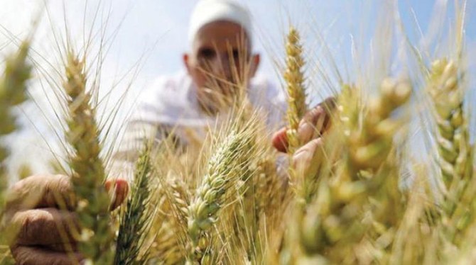 ITFC boosts funds for Egypt by $3bn to deal with rising wheat prices