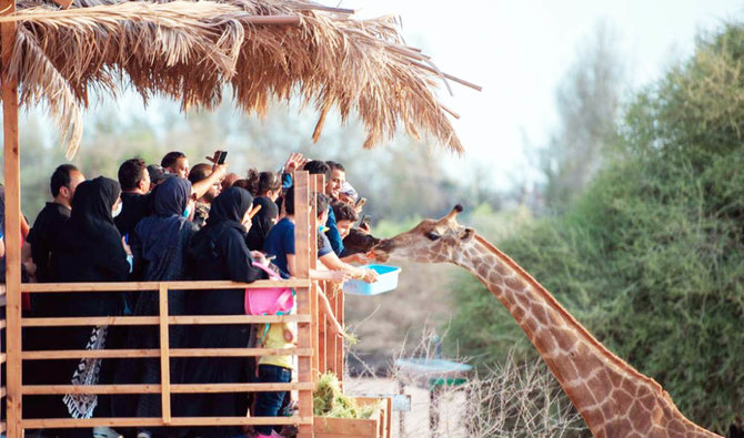 The Jeddah Jungle is home to about 1,000 species of wild creatures, as well as 200 species of rare birds. (Supplied)