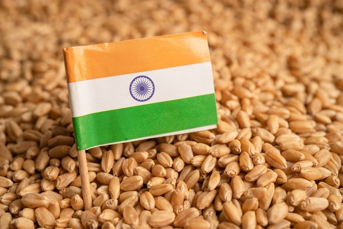 Egypt in talks with India on wheat-for-goods swap deal to fight shortage: Minister
