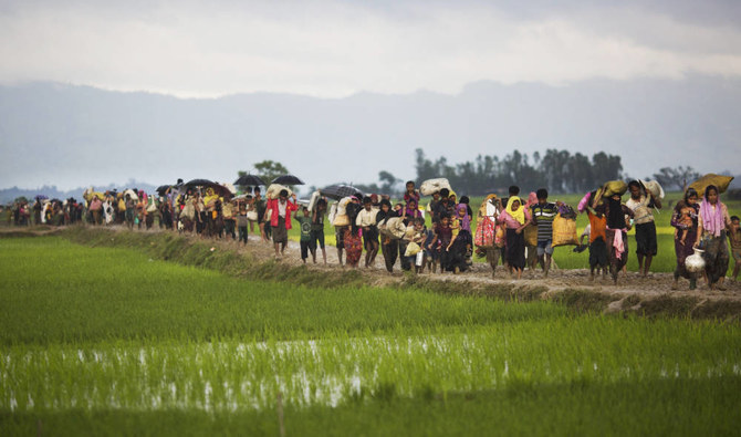 Rohingya ethnic minority walk past rice fields after crossing the border into Bangladesh near Cox's Bazar's Teknaf area. (AP)