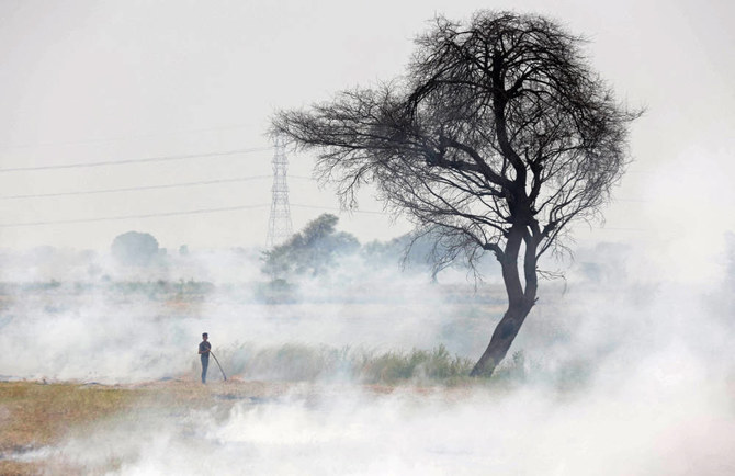 A worker burns stubble after harvesting pulse crop in a field at Hoshangabad district of India's Madhya Pradesh state.