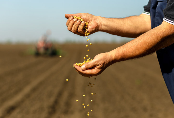 Commodities Update — Gold prices edging up; Soybeans recover; Cargill plans to close rapeseed facility 