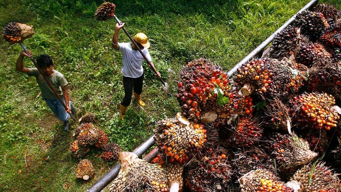 India In-Focus — Palm oil imports surging to 10-month high; Sri Lanka to organize roadshows in India