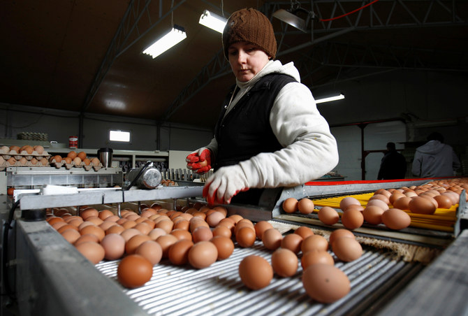 Egg producers in Turkey scramble to defend price rises amid inflation crisis