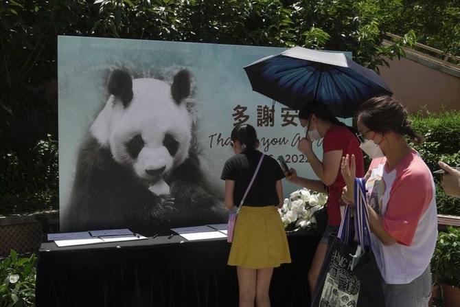 An An, world’s oldest male giant panda, dies at age 35 in Hong Kong