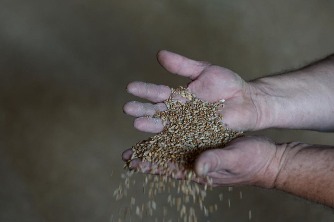 Minister: First grain shipments to leave Ukraine ‘this week’